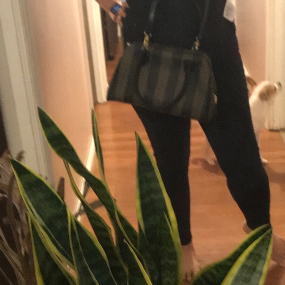 Auth Fendi 2 way crossbody bag custom painted - Picture 15 of 16